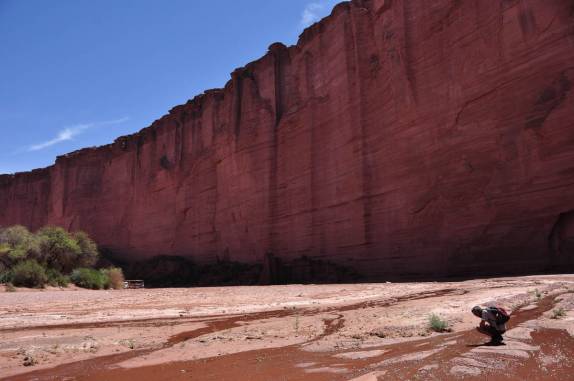 Encontro com um raro riacho no Parque Nacional Talampaya, na Argentina